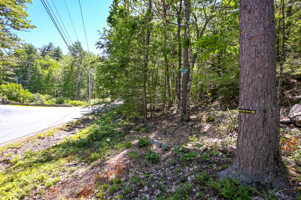 20 Witchtrot Road, York, ME 03909 — photo 5