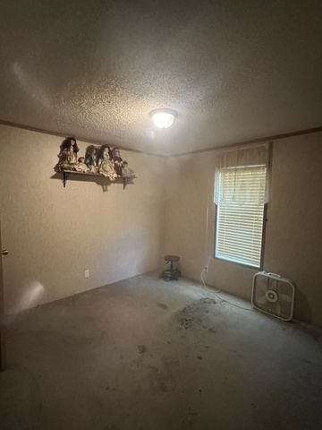 11 Preston Ln, Elmwood, TN 38560