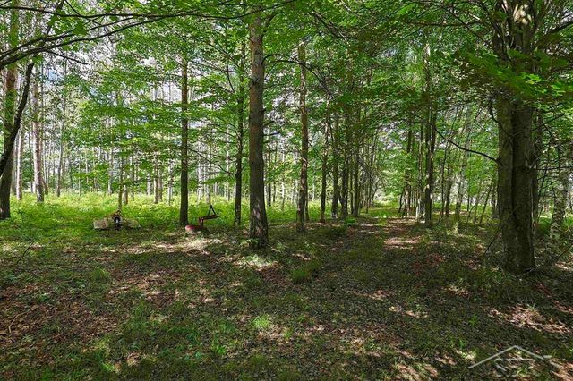 2202 W Huckleberry Road, Sanford, MI 48657