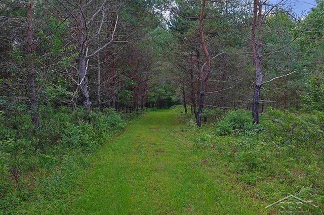 2202 W Huckleberry Road, Sanford, MI 48657