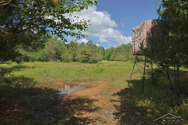 2202 W Huckleberry Road, Sanford, MI 48657