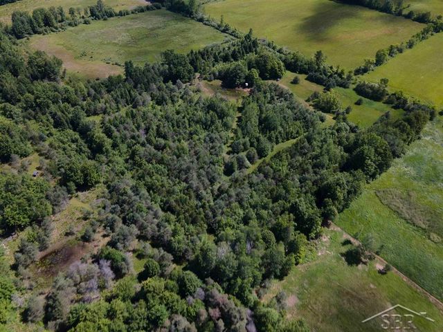 2202 W Huckleberry Road, Sanford, MI 48657