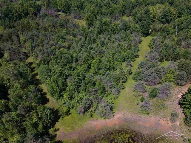2202 W Huckleberry Road, Sanford, MI 48657