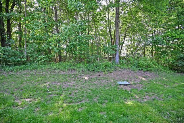 101 Ledgerwoods, Amelia, OH 45102
