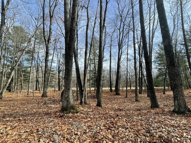 2430 Indian Trail, Evart, MI 49631