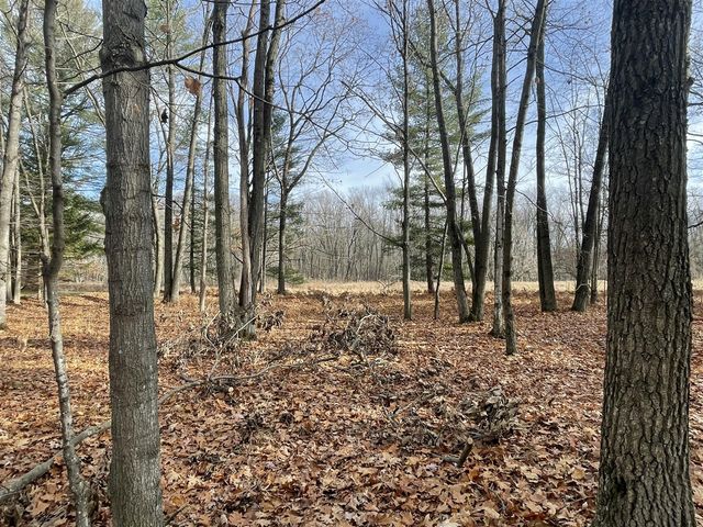 2430 Indian Trail, Evart, MI 49631