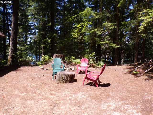 Cabin 44 Northwoods, Cougar, WA 98616