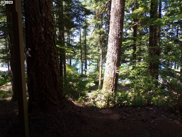 Cabin 44 Northwoods, Cougar, WA 98616