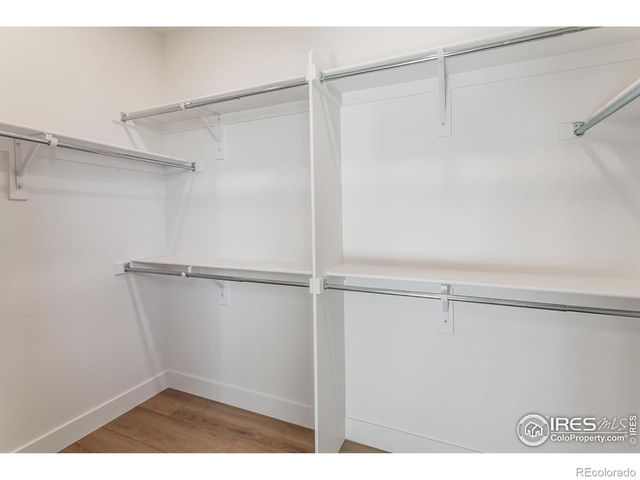 913 Trumpet Lane, Windsor, CO 80550