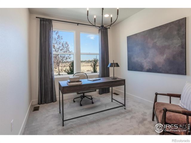 913 Trumpet Lane, Windsor, CO 80550