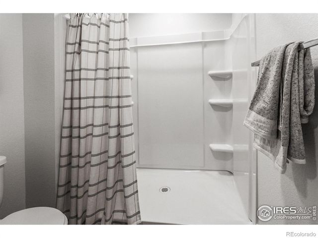 913 Trumpet Lane, Windsor, CO 80550