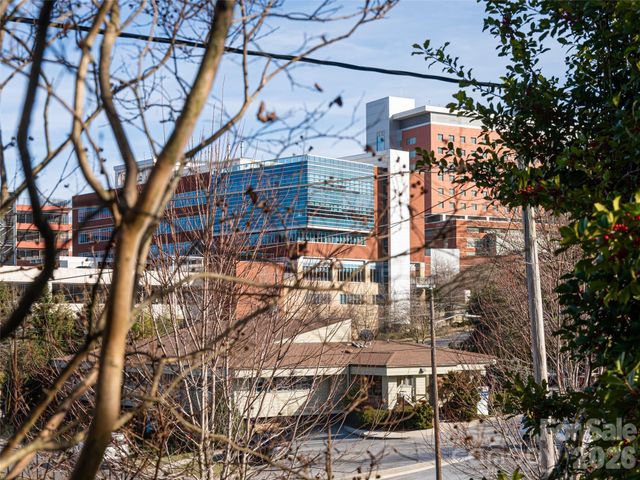 45 Olive Street, Asheville, NC 28801