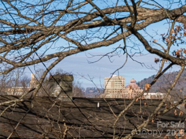 45 Olive Street, Asheville, NC 28801