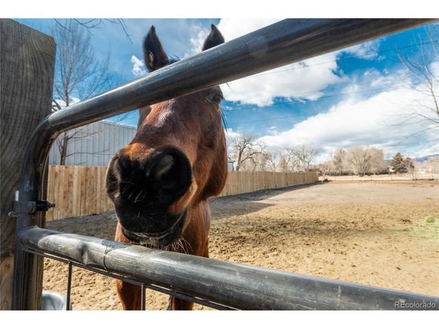 4695 Parfet St, Wheat Ridge, CO 80033