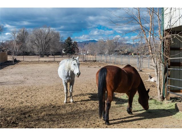 4695 Parfet St, Wheat Ridge, CO 80033