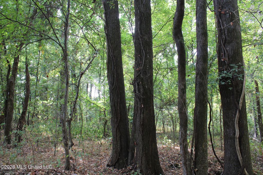 6 Star Landing Road, Nesbit, MS 38651 — photo 2