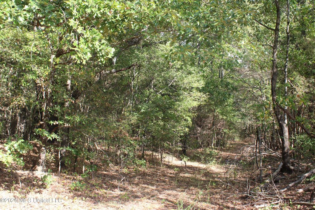 6 Star Landing Road, Nesbit, MS 38651 — photo 4