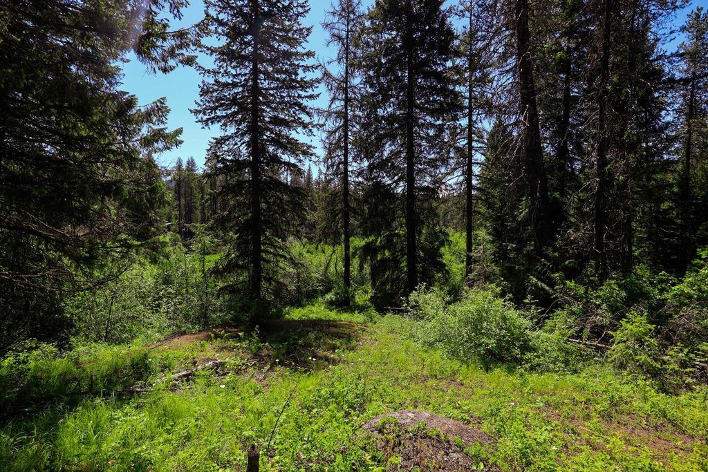 Lot 14 Elk Rd, Newport, WA 99156 photo 11