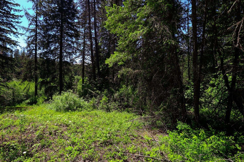 Lot 14 Elk Rd, Newport, WA 99156 photo 12