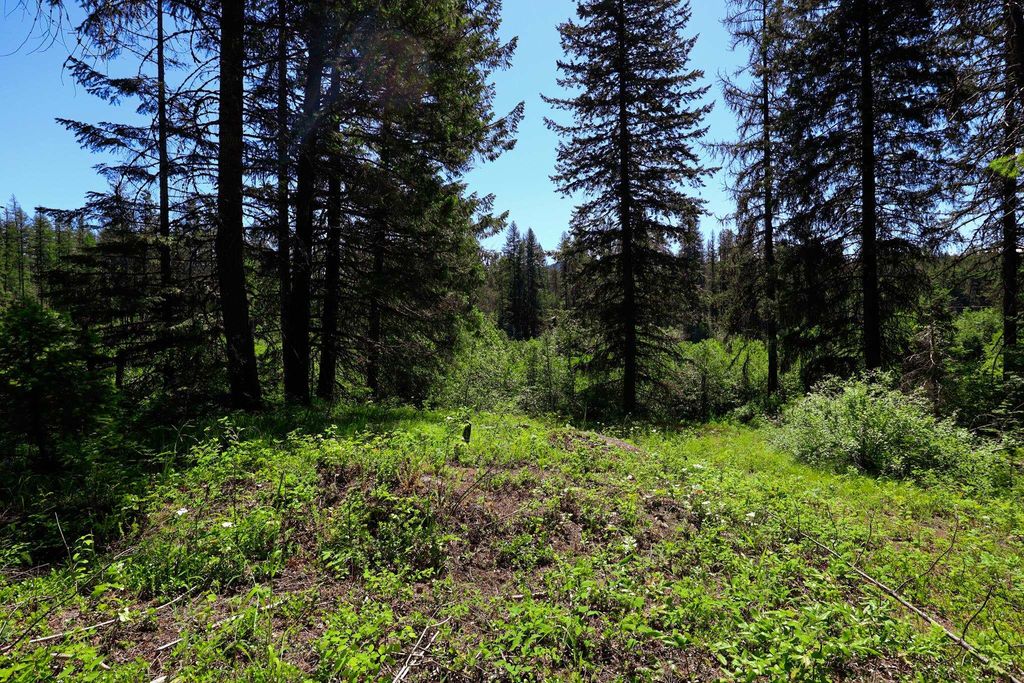 Lot 14 Elk Rd, Newport, WA 99156 photo 13
