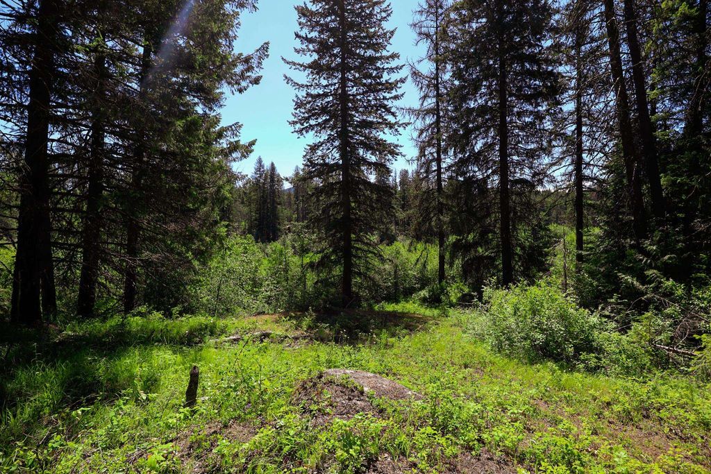Lot 14 Elk Rd, Newport, WA 99156 photo 9