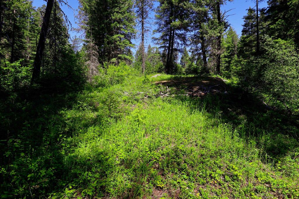 Lot 14 Elk Rd, Newport, WA 99156 photo 10