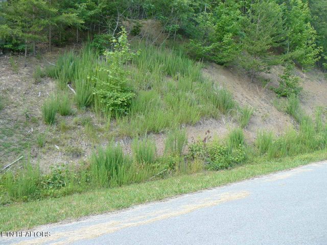 Lot 539 Whistle Valley Rd, New Tazewell, TN 37825
