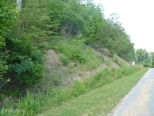 Lot 539 Whistle Valley Rd, New Tazewell, TN 37825