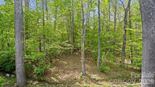 9912 ANDRES DUANY Drive, Huntersville, NC 28078