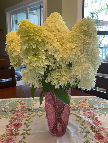 18 Linden Road, Watsonville, CA 95076