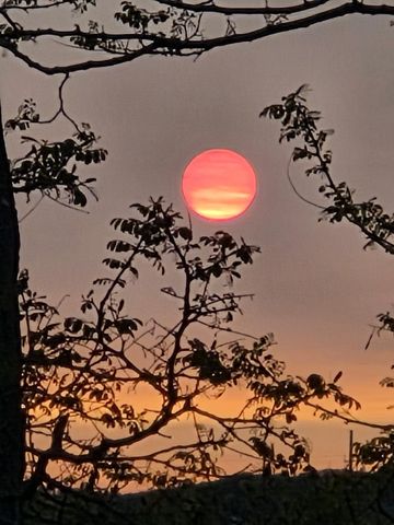 730 Centre Place, Traverse City, MI 49684