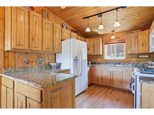124 Prospectors Way, Bailey, CO 80421