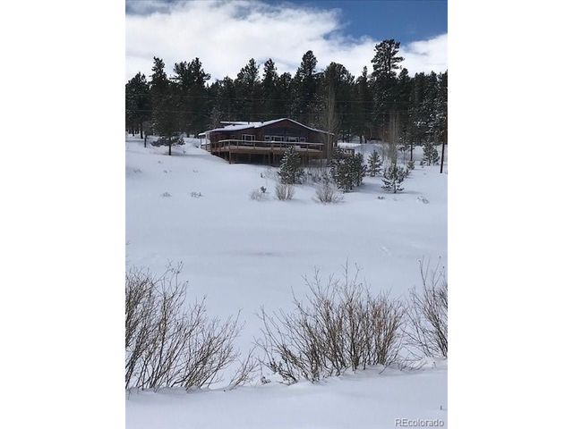 124 Prospectors Way, Bailey, CO 80421