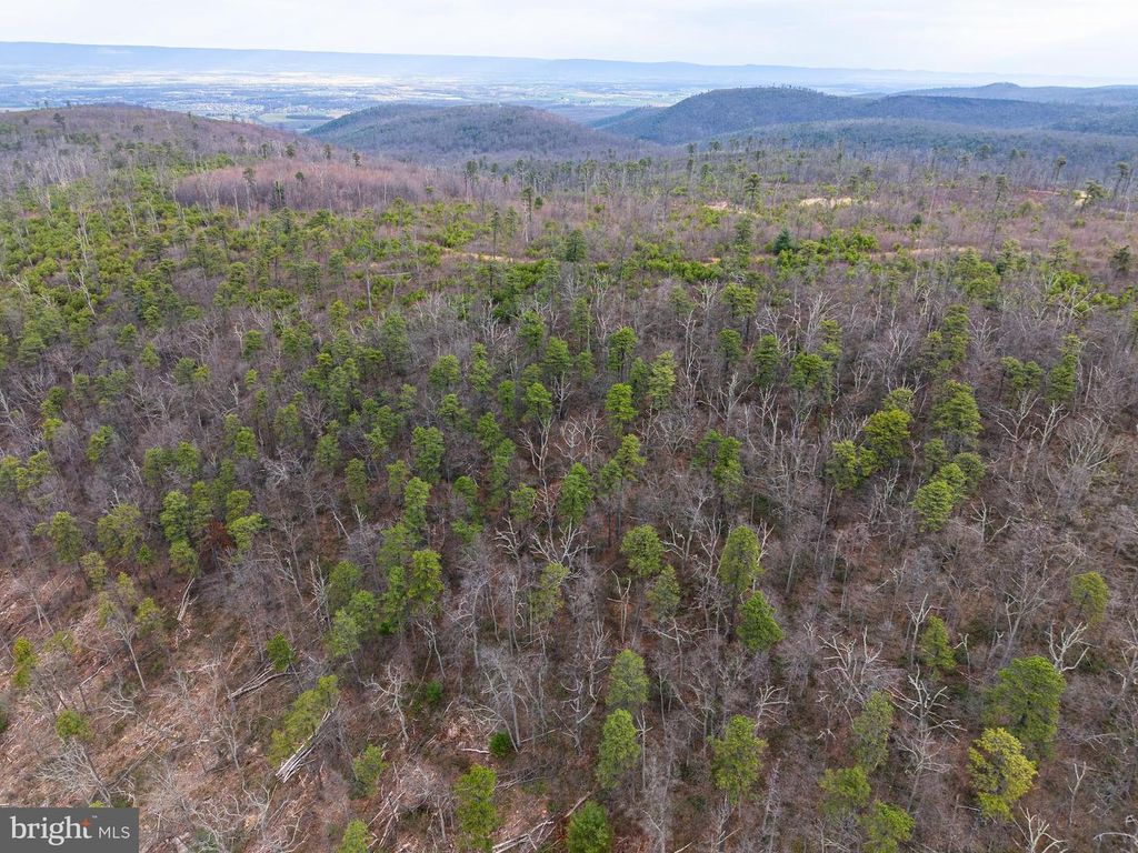 Image 32 of property listing at 0 MEANS HOLLOW ROAD, Shippensburg, PA 17257