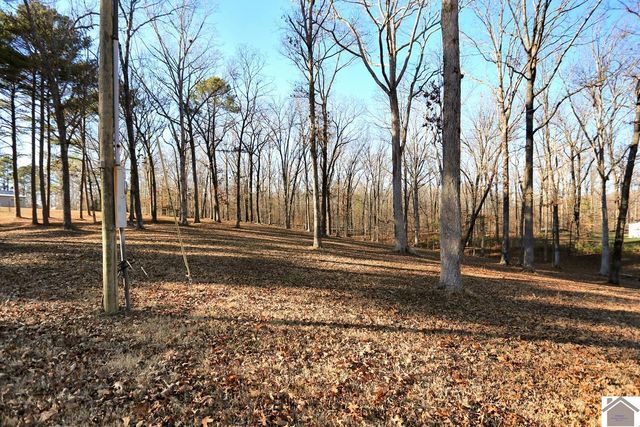 2488 Cypress Trail, New Concord, KY 42076