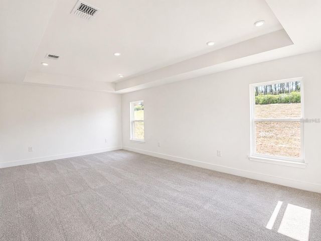 1671 ANN ROSE WAY, Leesburg, FL 34748
