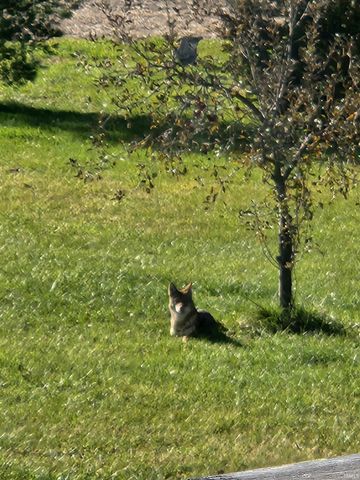 825 N CR 800 E Road, Parker City, IN 47368