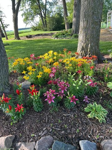 23371 650th Avenue, Alden, MN 56009