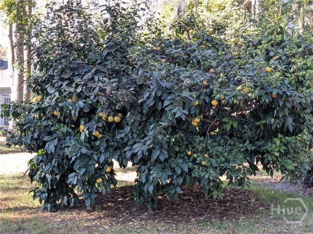 2 Mast Way, Savannah, GA 31419