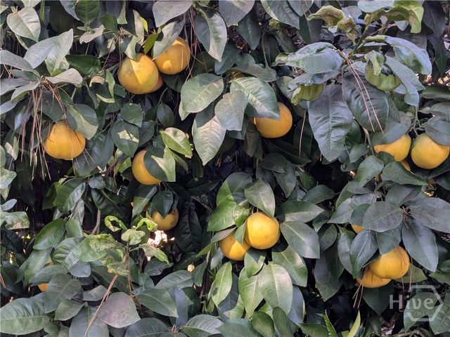 2 Mast Way, Savannah, GA 31419