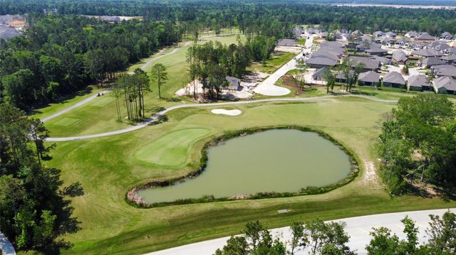 7419 Caprock Canyon Lane, Porter, TX 77365