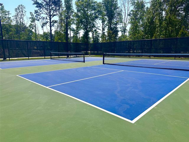 7419 Caprock Canyon Lane, Porter, TX 77365