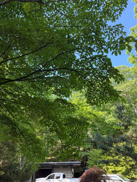 301 Roaring Brook Road, Chappaqua, NY 10514 — photo 4