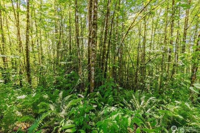 11 Lot Cassie Place NW, Poulsbo, WA 98370