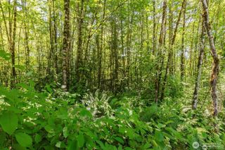 11 Lot Cassie Place NW, Poulsbo, WA 98370