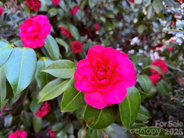 510 SE Stonecroft Court SE 32, Lenoir, NC 28645