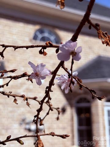 510 SE Stonecroft Court SE 32, Lenoir, NC 28645