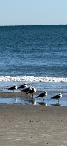 2711 S Ocean Blvd Unit 311, North Myrtle Beach, SC 29582