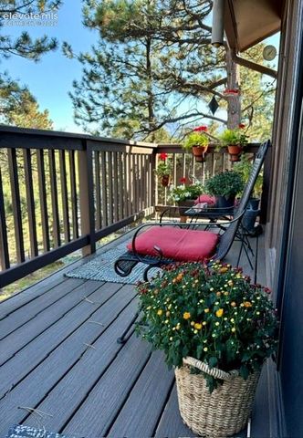 540 Greenway Court, Woodland Park, CO 80863