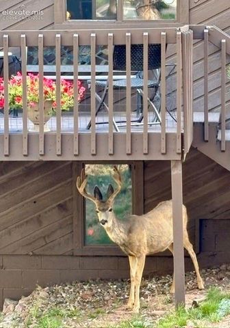 540 Greenway Court, Woodland Park, CO 80863